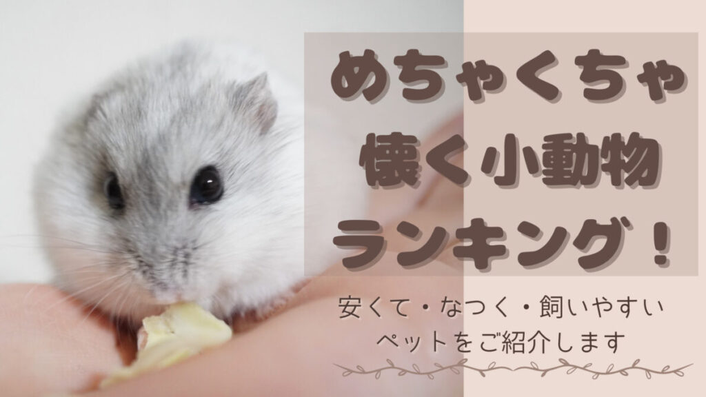 めちゃくちゃ-懐く小動物