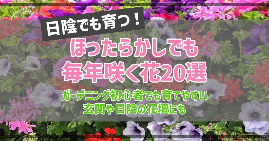 日陰 ほったらかし で毎年咲く花20選