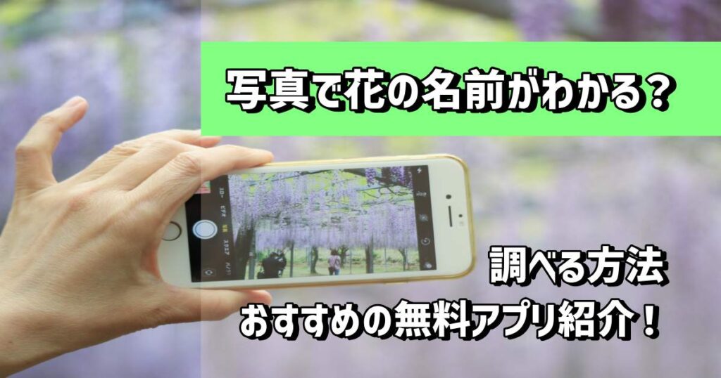 写真で 名前が わかる アプリ 無料