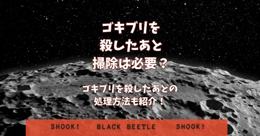 ゴキブリ 殺したあと 掃除